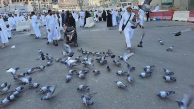 Apakah Injak Kotoran Merpati di Masjidilharam Membatalkan Wudhu? Berikut Hukumnya Menurut Empat Mazhab