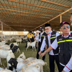 Muhammadiyah Keluarkan Fatwa Boleh Pindahkan Penyembelihan Dam ke Tanah Air, Kemenhaj Sambut Baik