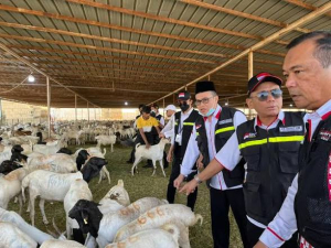 Muhammadiyah Keluarkan Fatwa Boleh Pindahkan Penyembelihan Dam ke Tanah Air, Kemenhaj Sambut Baik